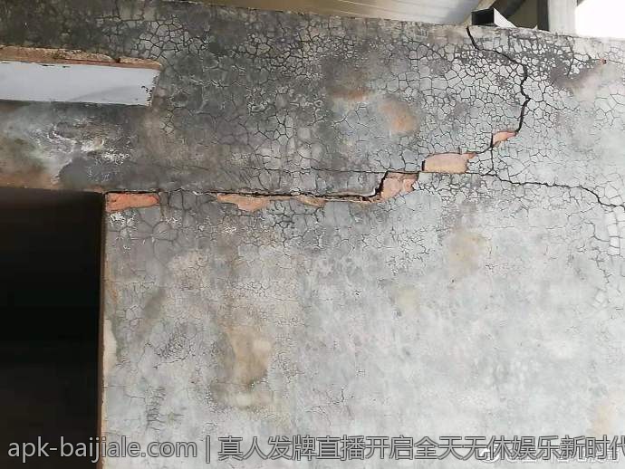 真人发牌直播开启全天无休娱乐新时代
