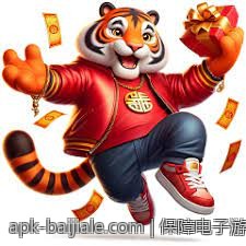 保障电子游艺平台资金安全的实用技巧