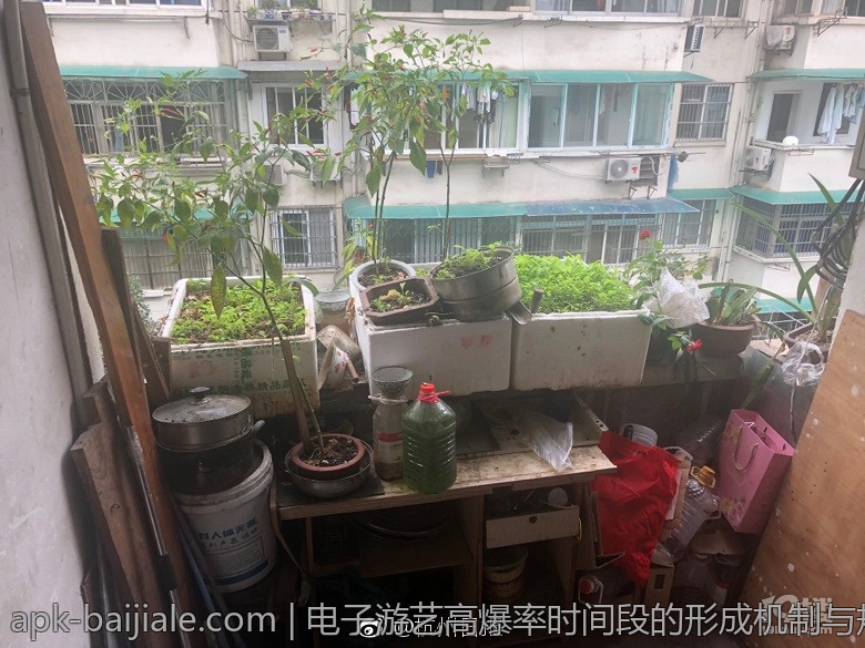 电子游艺高爆率时间段的形成机制与规律探讨
